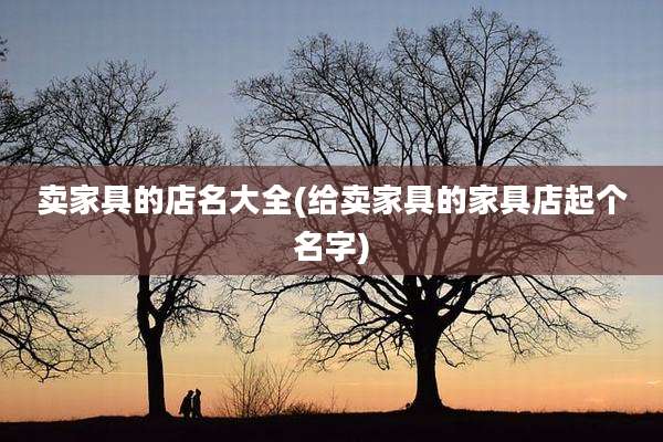 卖家具的店名大全(给卖家具的家具店起个名字)