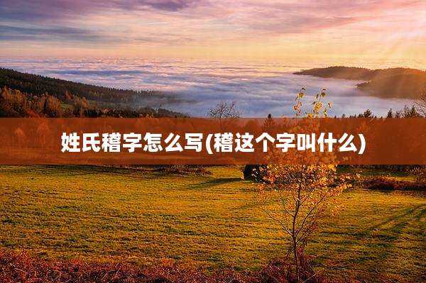 姓氏稽字怎么写(稽这个字叫什么)