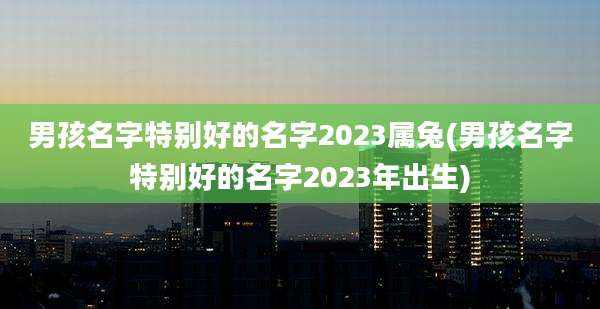 男孩名字特别好的名字2023属兔(男孩名字特别好的名字2023年出生)