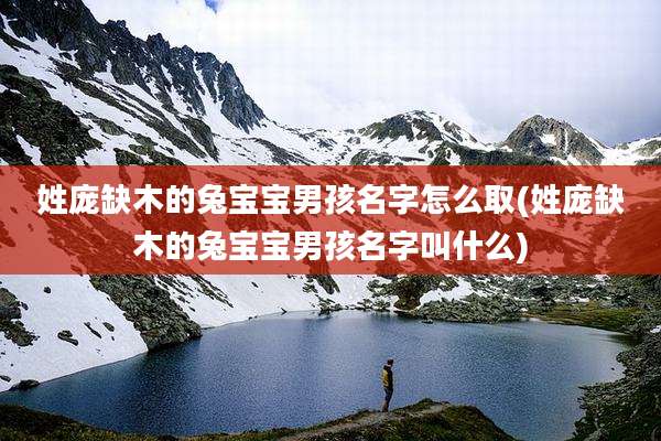 姓庞缺木的兔宝宝男孩名字怎么取(姓庞缺木的兔宝宝男孩名字叫什么)