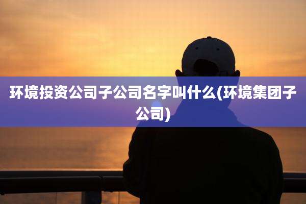环境投资公司子公司名字叫什么(环境集团子公司)