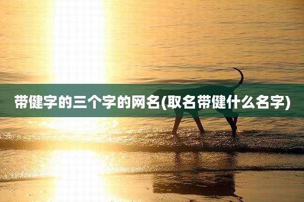 带健字的三个字的网名(取名带健什么名字)