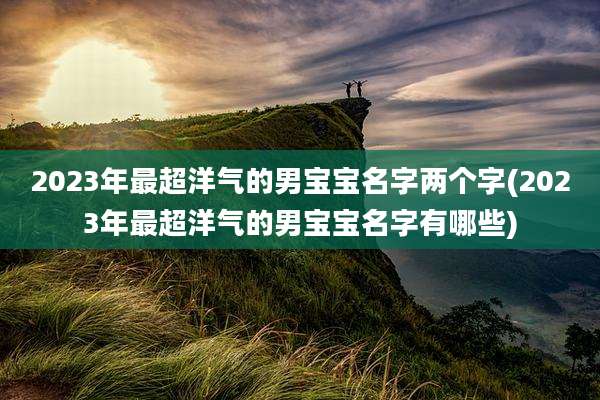 2023年最超洋气的男宝宝名字两个字(2023年最超洋气的男宝宝名字有哪些)