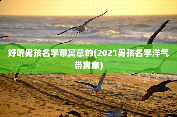 好听男孩名字带寓意的(2021男孩名字洋气带寓意)