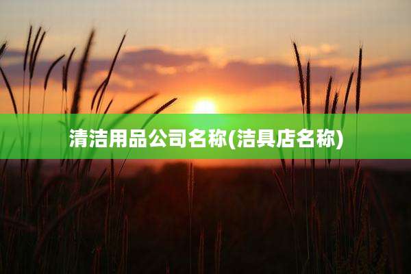 清洁用品公司名称(洁具店名称)