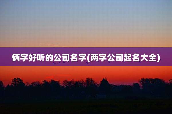 俩字好听的公司名字(两字公司起名大全)
