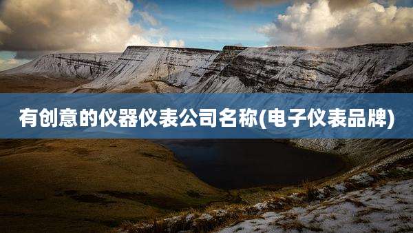 有创意的仪器仪表公司名称(电子仪表品牌)