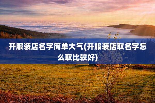 开服装店名字简单大气(开服装店取名字怎么取比较好)