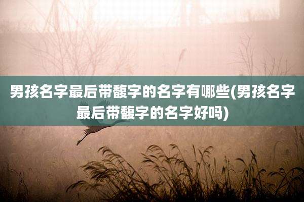 男孩名字最后带馥字的名字有哪些(男孩名字最后带馥字的名字好吗)