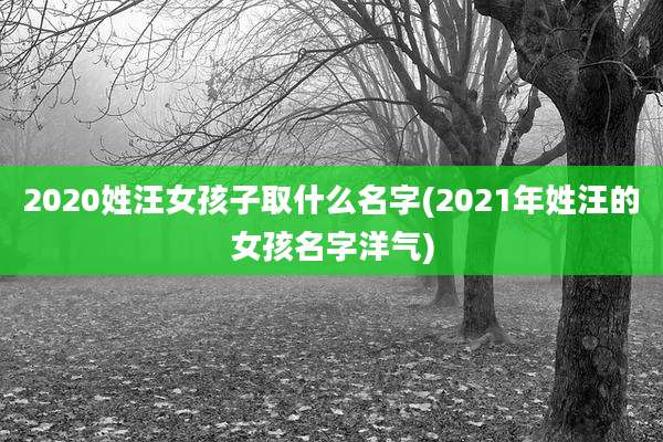 2020姓汪女孩子取什么名字(2021年姓汪的女孩名字洋气)