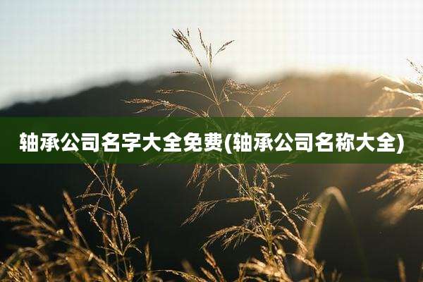 轴承公司名字大全免费(轴承公司名称大全)