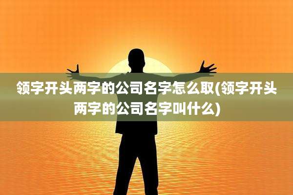 领字开头两字的公司名字怎么取(领字开头两字的公司名字叫什么)
