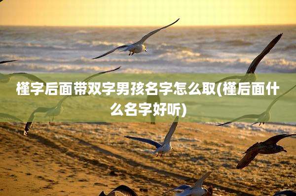 槿字后面带双字男孩名字怎么取(槿后面什么名字好听)
