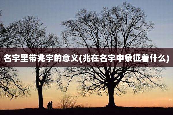 名字里带兆字的意义(兆在名字中象征着什么)