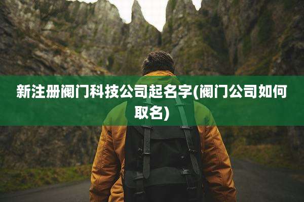新注册阀门科技公司起名字(阀门公司如何取名)