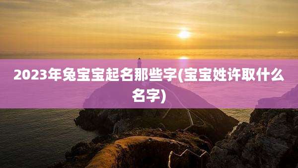 2023年兔宝宝起名那些字(宝宝姓许取什么名字)