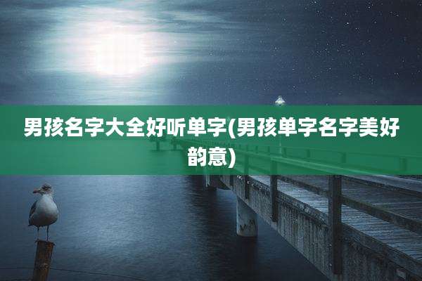 男孩名字大全好听单字(男孩单字名字美好韵意)