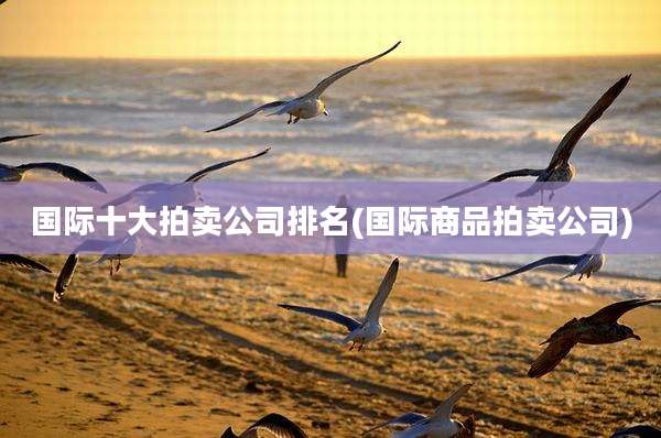 国际十大拍卖公司排名(国际商品拍卖公司)