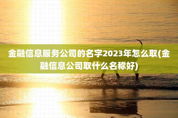 金融信息服务公司的名字2023年怎么取(金融信息公司取什么名称好)