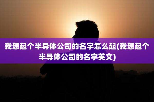 我想起个半导体公司的名字怎么起(我想起个半导体公司的名字英文)