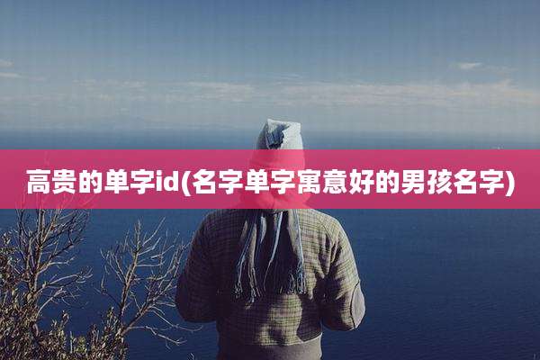 高贵的单字id(名字单字寓意好的男孩名字)