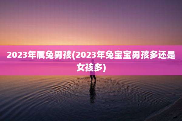 2023年属兔男孩(2023年兔宝宝男孩多还是女孩多)