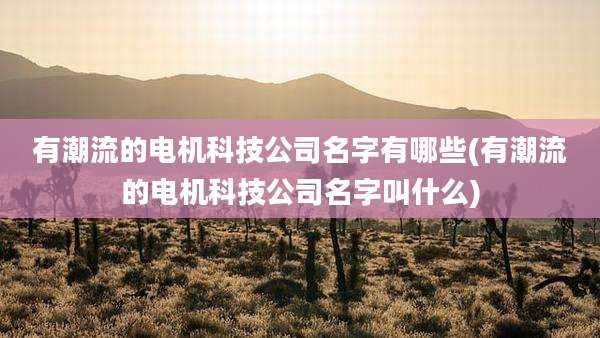 有潮流的电机科技公司名字有哪些(有潮流的电机科技公司名字叫什么)