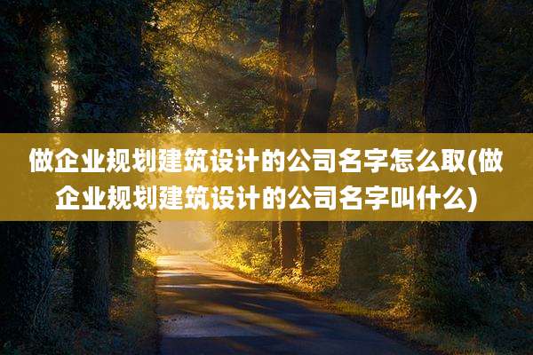 做企业规划建筑设计的公司名字怎么取(做企业规划建筑设计的公司名字叫什么)
