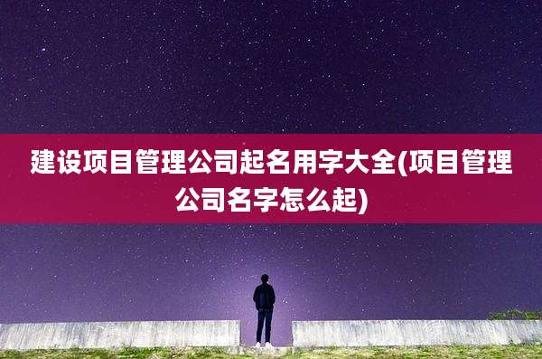 建设项目管理公司起名用字大全(项目管理公司名字怎么起)