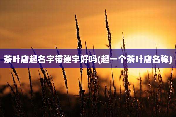 茶叶店起名字带建字好吗(起一个茶叶店名称)