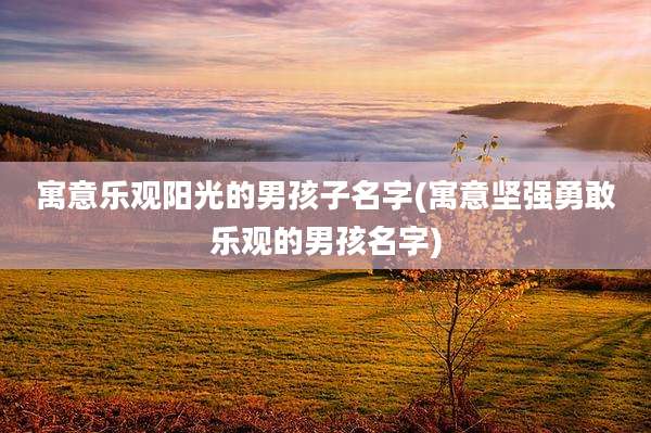 寓意乐观阳光的男孩子名字(寓意坚强勇敢乐观的男孩名字)