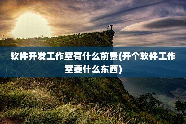 软件开发工作室有什么前景(开个软件工作室要什么东西)