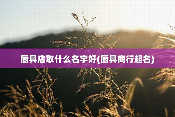厨具店取什么名字好(厨具商行起名)