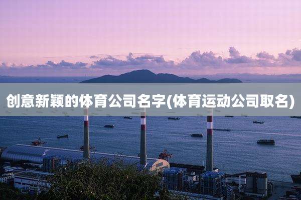 创意新颖的体育公司名字(体育运动公司取名)