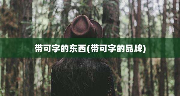 带可字的东西(带可字的品牌)