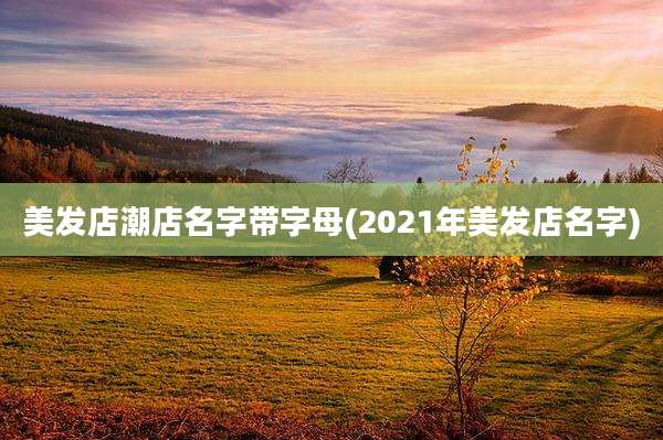 美发店潮店名字带字母(2021年美发店名字)