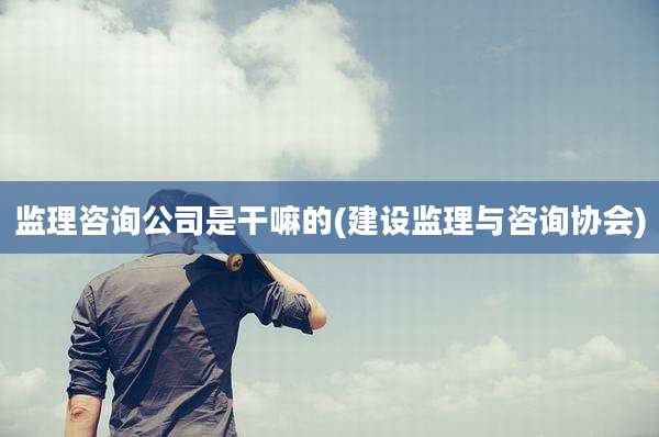 监理咨询公司是干嘛的(建设监理与咨询协会)