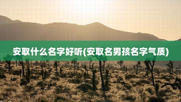 安取什么名字好听(安取名男孩名字气质)