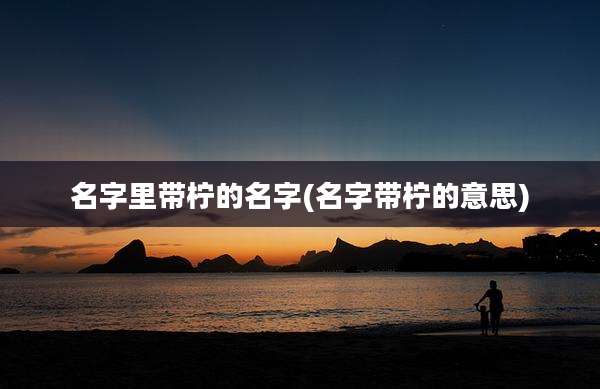名字里带柠的名字(名字带柠的意思)