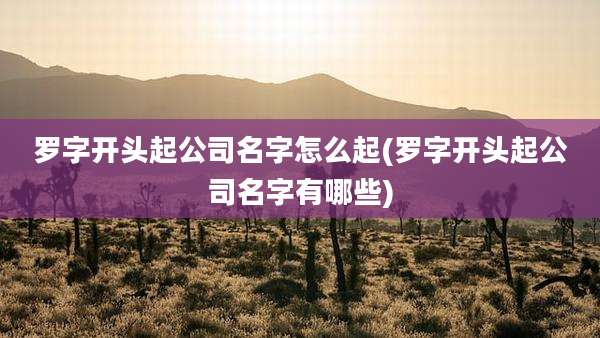 罗字开头起公司名字怎么起(罗字开头起公司名字有哪些)