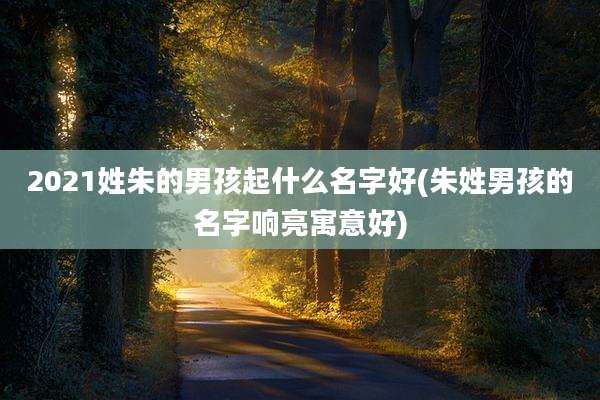 2021姓朱的男孩起什么名字好(朱姓男孩的名字响亮寓意好)
