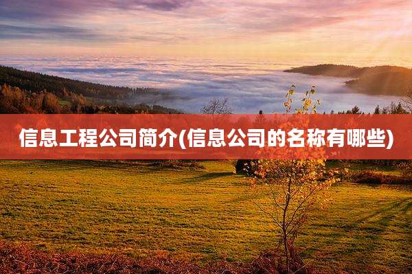 信息工程公司简介(信息公司的名称有哪些)