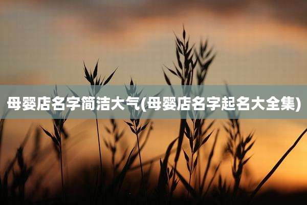 母婴店名字简洁大气(母婴店名字起名大全集)