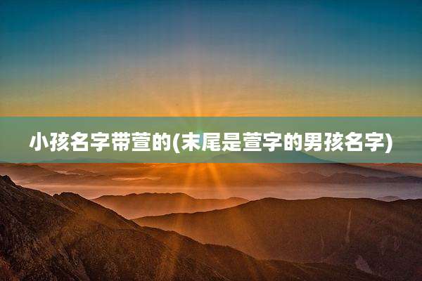 小孩名字带萱的(末尾是萱字的男孩名字)