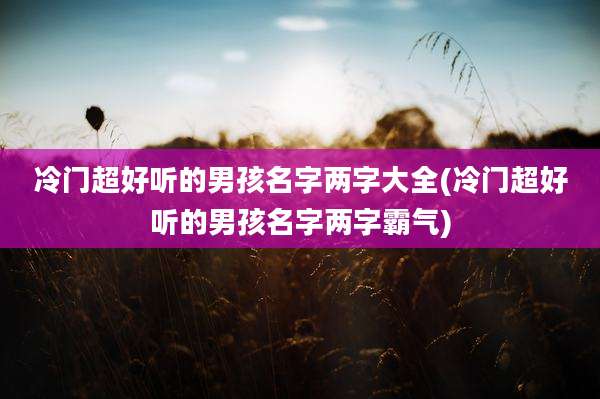 冷门超好听的男孩名字两字大全(冷门超好听的男孩名字两字霸气)