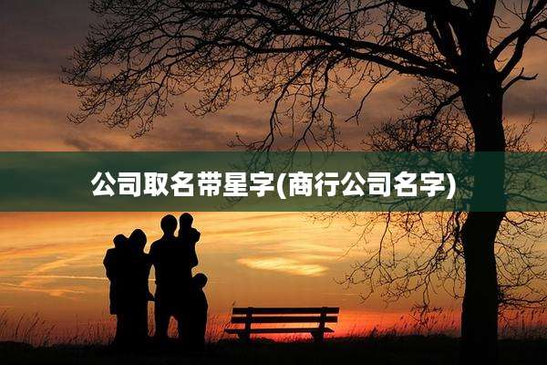 公司取名带星字(商行公司名字)