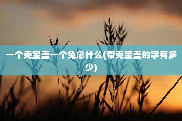一个秃宝盖一个兔念什么(带秃宝盖的字有多少)