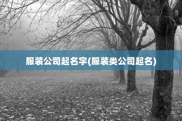 服装公司起名字(服装类公司起名)