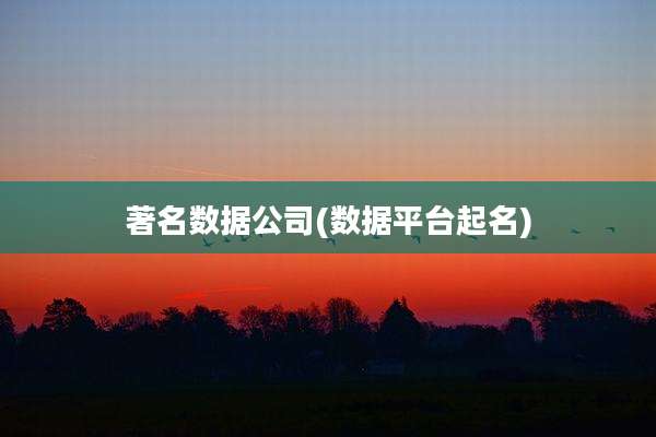 著名数据公司(数据平台起名)