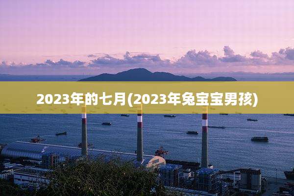 2023年的七月(2023年兔宝宝男孩)